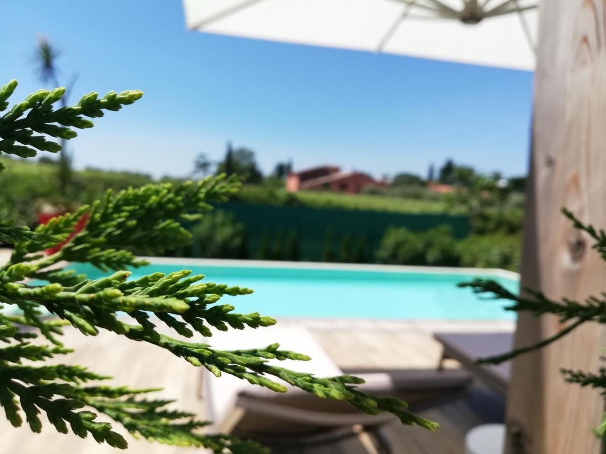 לאזיסה B&B Villa Peler מראה חיצוני תמונה